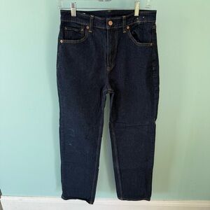 GAP '90s Loose High Rise Denim Size 28/6